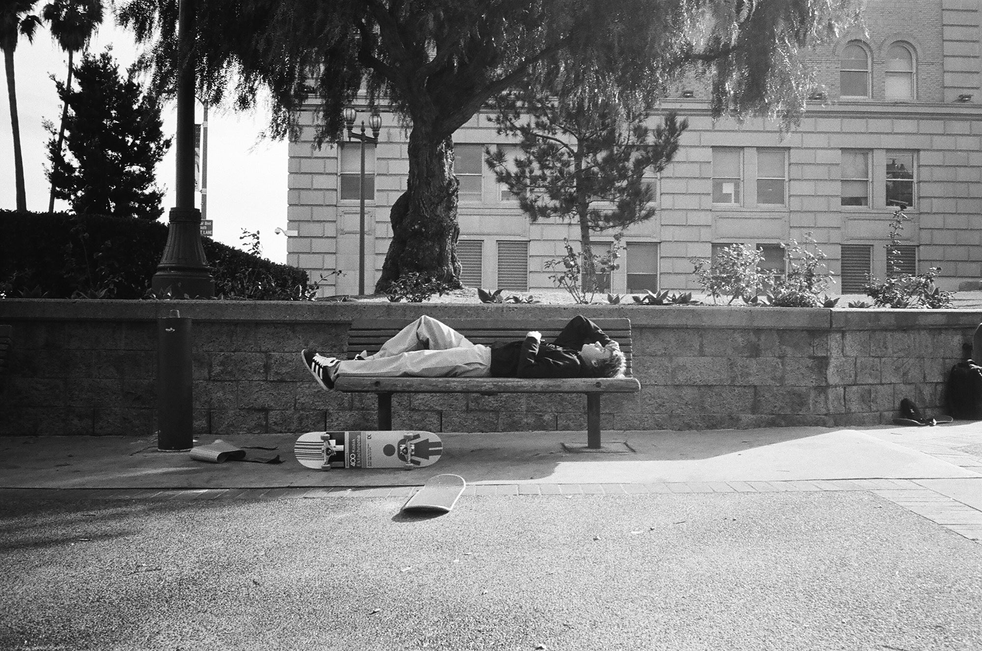 Niels sleeping on a bench in a park